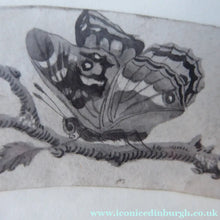 Load image into Gallery viewer, ORIGINAL GEORGIAN Watercolour. RARE Early 19th Century Grisaille Floral Designs for Plate Border Decorations: F

