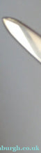 Load image into Gallery viewer,  Victorian SOLID SILVER Grape Scissors  in Fitted Leather Case
