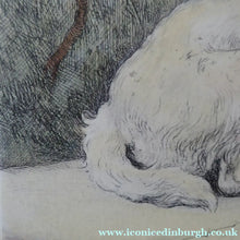Load image into Gallery viewer, Herbert Thomas Dicksee Etching of West Highland Terrier Westie 1920s
