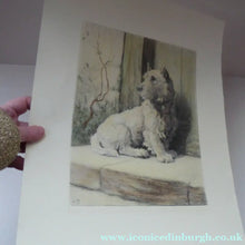 Load image into Gallery viewer, Herbert Thomas Dicksee Etching of West Highland Terrier Westie 1920s
