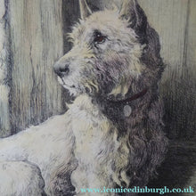 Load image into Gallery viewer, Herbert Thomas Dicksee Etching of West Highland Terrier Westie 1920s
