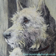 Load image into Gallery viewer, Herbert Thomas Dicksee Etching of West Highland Terrier Westie 1920s
