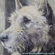 Load image into Gallery viewer, Herbert Thomas Dicksee Etching of West Highland Terrier Westie 1920s
