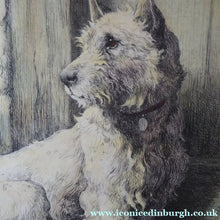 Load image into Gallery viewer, Herbert Thomas Dicksee Etching of West Highland Terrier Westie 1920s
