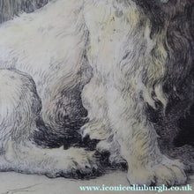 Load image into Gallery viewer, Herbert Thomas Dicksee Etching of West Highland Terrier Westie 1920s
