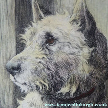 Load image into Gallery viewer, Herbert Thomas Dicksee Etching of West Highland Terrier Westie 1920s
