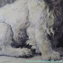 Load image into Gallery viewer, Herbert Thomas Dicksee Etching of West Highland Terrier Westie 1920s
