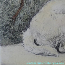 Load image into Gallery viewer, Herbert Thomas Dicksee Etching of West Highland Terrier Westie 1920s
