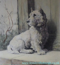 Load image into Gallery viewer, Herbert Thomas Dicksee Etching of West Highland Terrier Westie 1920s
