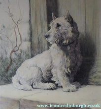 Load image into Gallery viewer, Herbert Thomas Dicksee Etching of West Highland Terrier Westie 1920s
