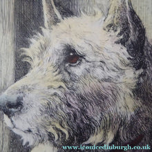 Load image into Gallery viewer, Herbert Thomas Dicksee Etching of West Highland Terrier Westie 1920s
