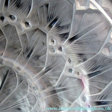 Load image into Gallery viewer, Hettier &amp; Vincent Signed Art Deco Light Shade by Baccarat Glass
