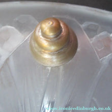 Load image into Gallery viewer, Hettier &amp; Vincent Signed Art Deco Light Shade by Baccarat Glass
