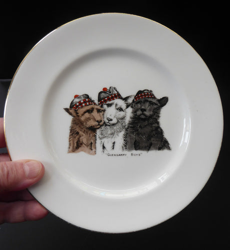 Vintage Anynsley Dog Plate. Cairn, Scottie and Westie  Terriers 