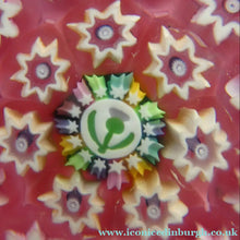 Load image into Gallery viewer, PAIR of Vintage Miniature JOHN DEACONS Papweights. Orange &amp; Pink Colours
