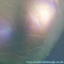 Load image into Gallery viewer, 1983 John Ditchfield Iridescent Glasform Crackle Glass Vase
