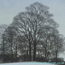 Load image into Gallery viewer, KATHLEEN CADDICK (b. 1937). Hand-Coloured Etching Entitled "Tracks in the Snow". Pencil Signed Artist's Proof
