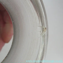 Load image into Gallery viewer, Antique Chemist Bottle with Ball Stopper and Foil Glass Covered Label
