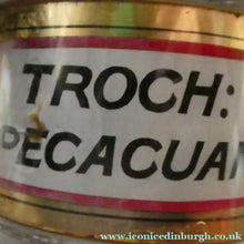 Load image into Gallery viewer, Large Antique Clear Glass Chemist Bottle. TROCH: IPECACUAN: with Original Foil Label and Ball Stopper
