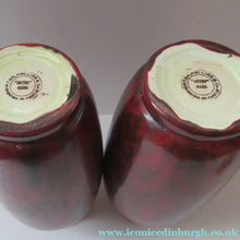 Load image into Gallery viewer, Pair of Minton Hollins Astra Ware Vases
