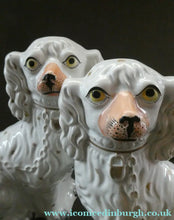 Load image into Gallery viewer, LARGE Staffordshire Dogs Chimney Spaniels / Wally Dugs. 12 1/2 inches. ANTIQUE PAIR with yellow painted eyes; 1880
