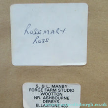 Load image into Gallery viewer, Large Vintage Needlepoint Artwork / Textile Featuring an Image of a British Freshwater Fish
