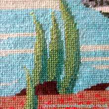Load image into Gallery viewer, Large Vintage Needlepoint Artwork / Textile Featuring an Image of a British Freshwater Fish
