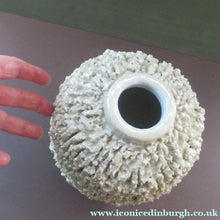 Load image into Gallery viewer, 1930s Gunnar Nylund for Rostrand Chamotte (Hedgehog) Vase. White
