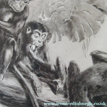 Load image into Gallery viewer, 1920s Etching Revival Drypoint by Leonard Robert Brightwell. Monkeys. The Social Climber

