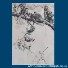 Load image into Gallery viewer, Leonard Robert Brightwell 1920s Drypoint Etching. A Troop of Monkeys on Tree Branch. Entitled: The Social Climber
