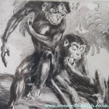 Load image into Gallery viewer, 1920s Etching Revival Drypoint by Leonard Robert Brightwell. Monkeys. The Social Climber
