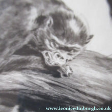 Load image into Gallery viewer, 1920s Etching Revival Drypoint by Leonard Robert Brightwell. Monkeys. The Social Climber

