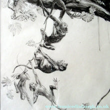 Load image into Gallery viewer, 1920s Etching Revival Drypoint by Leonard Robert Brightwell. Monkeys. The Social Climber
