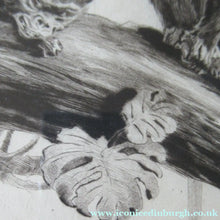 Load image into Gallery viewer, 1920s Etching Revival Drypoint by Leonard Robert Brightwell. Monkeys. The Social Climber
