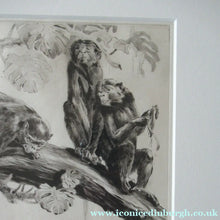Load image into Gallery viewer, 1920s Etching Revival Drypoint by Leonard Robert Brightwell. Monkeys. The Social Climber
