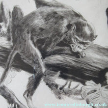 Load image into Gallery viewer, 1920s Etching Revival Drypoint by Leonard Robert Brightwell. Monkeys. The Social Climber
