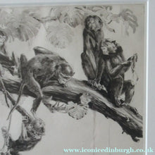 Load image into Gallery viewer, 1920s Etching Revival Drypoint by Leonard Robert Brightwell. Monkeys. The Social Climber

