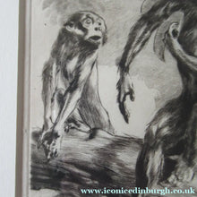 Load image into Gallery viewer, 1920s Etching Revival Drypoint by Leonard Robert Brightwell. Monkeys. The Social Climber
