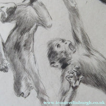 Load image into Gallery viewer, 1920s Etching Revival Drypoint by Leonard Robert Brightwell. Monkeys. The Social Climber
