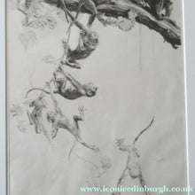 Load image into Gallery viewer, 1920s Etching Revival Drypoint by Leonard Robert Brightwell. Monkeys. The Social Climber
