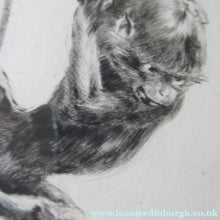 Load image into Gallery viewer, 1920s Etching Revival Drypoint by Leonard Robert Brightwell. Monkeys. The Social Climber
