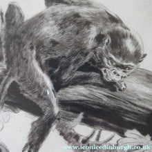 Load image into Gallery viewer, 1920s Etching Revival Drypoint by Leonard Robert Brightwell. Monkeys. The Social Climber
