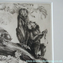 Load image into Gallery viewer, 1920s Etching Revival Drypoint by Leonard Robert Brightwell. Monkeys. The Social Climber
