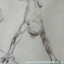 Load image into Gallery viewer, 1920s Etching Revival Drypoint by Leonard Robert Brightwell. Monkeys. The Social Climber
