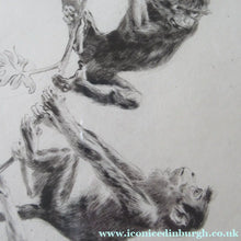 Load image into Gallery viewer, 1920s Etching Revival Drypoint by Leonard Robert Brightwell. Monkeys. The Social Climber
