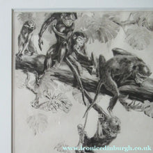 Load image into Gallery viewer, 1920s Etching Revival Drypoint by Leonard Robert Brightwell. Monkeys. The Social Climber
