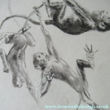 Load image into Gallery viewer, 1920s Etching Revival Drypoint by Leonard Robert Brightwell. Monkeys. The Social Climber
