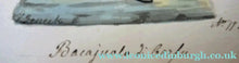 Load image into Gallery viewer, MALTESE ART. Early 19th Century Watercolour Costume Studies by Vincenzo Feneck. A Gentleman from Corfu - International
