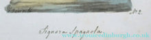 Load image into Gallery viewer, Antique Maltese Watercolour by Vincenzo Feneck

