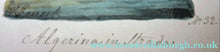 Load image into Gallery viewer, Antique Maltese Watercolour by Vincenzo Feneck
